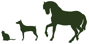 lotus animal graphic